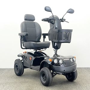 Freerider Westminster Deluxe (2022)